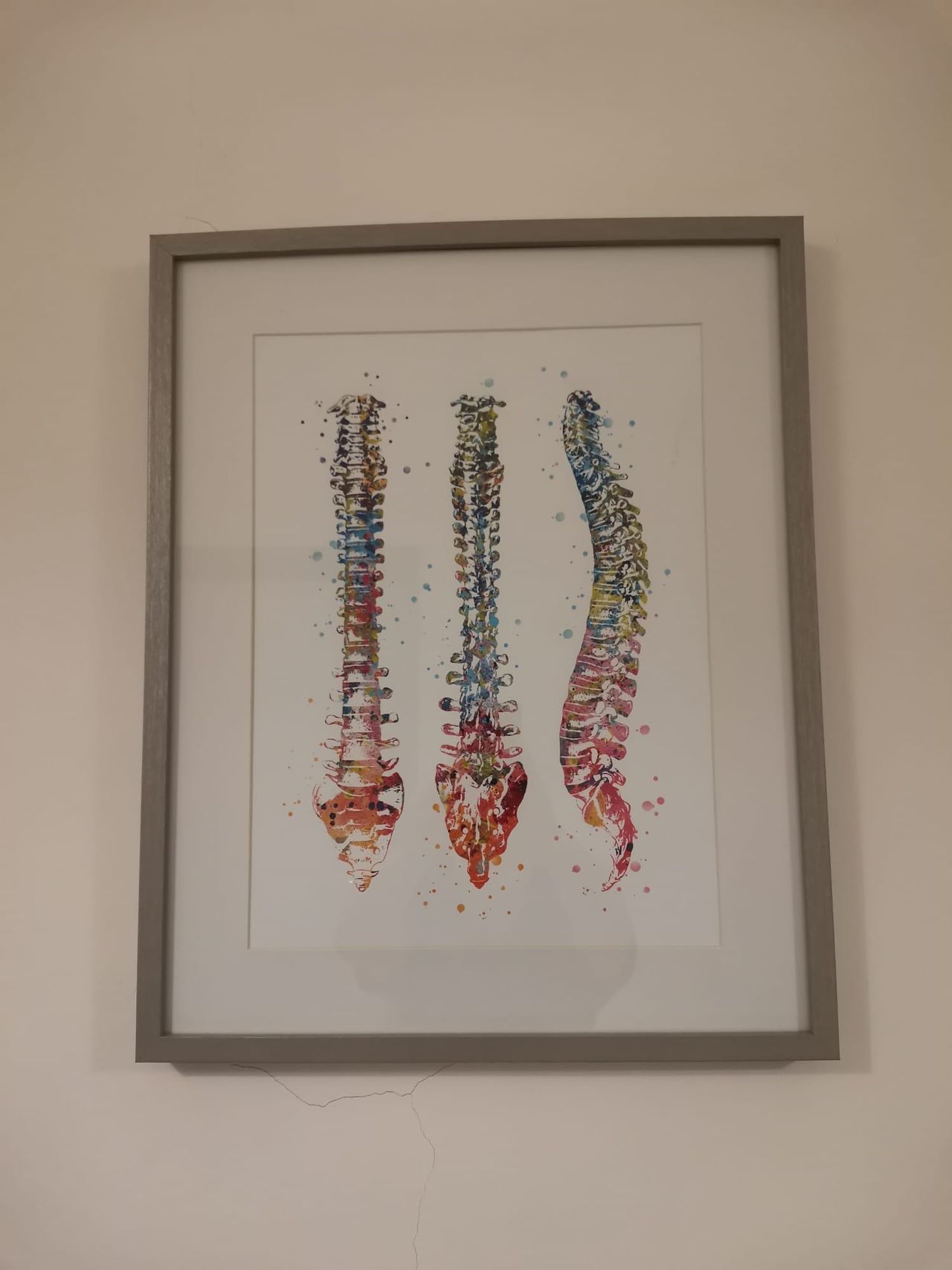 Valeria Pagni Frette-8