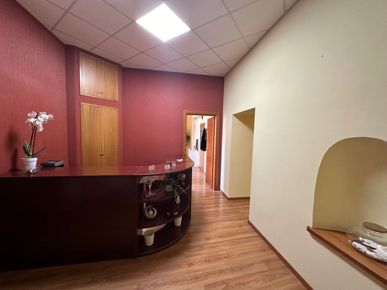 Maristella Mangone-0