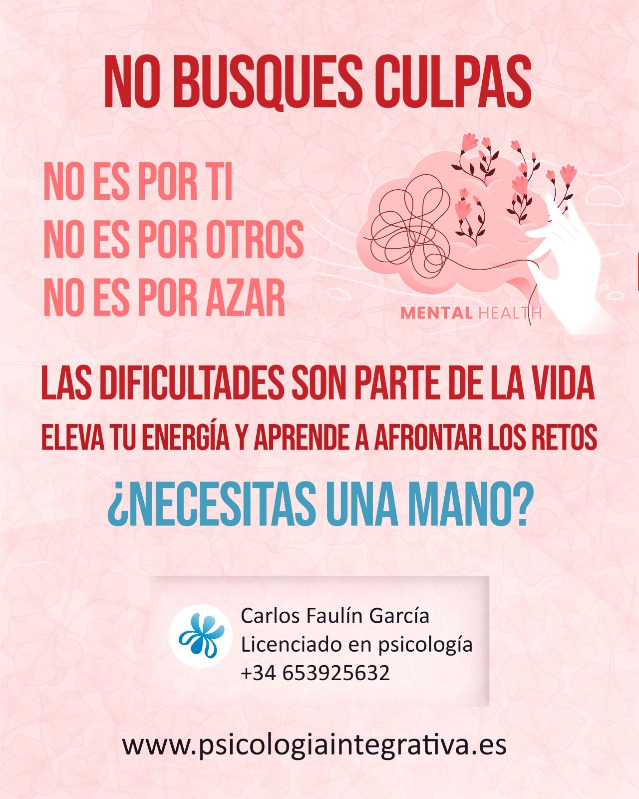 Carlos Faulin Garcia-0