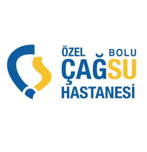 Erdal Kaya-2