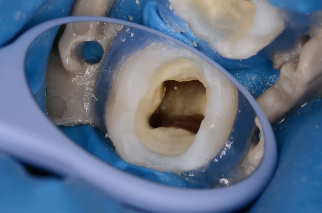 Bartosz Szczepanik-1