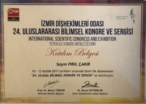 Pırıl Çakır-3