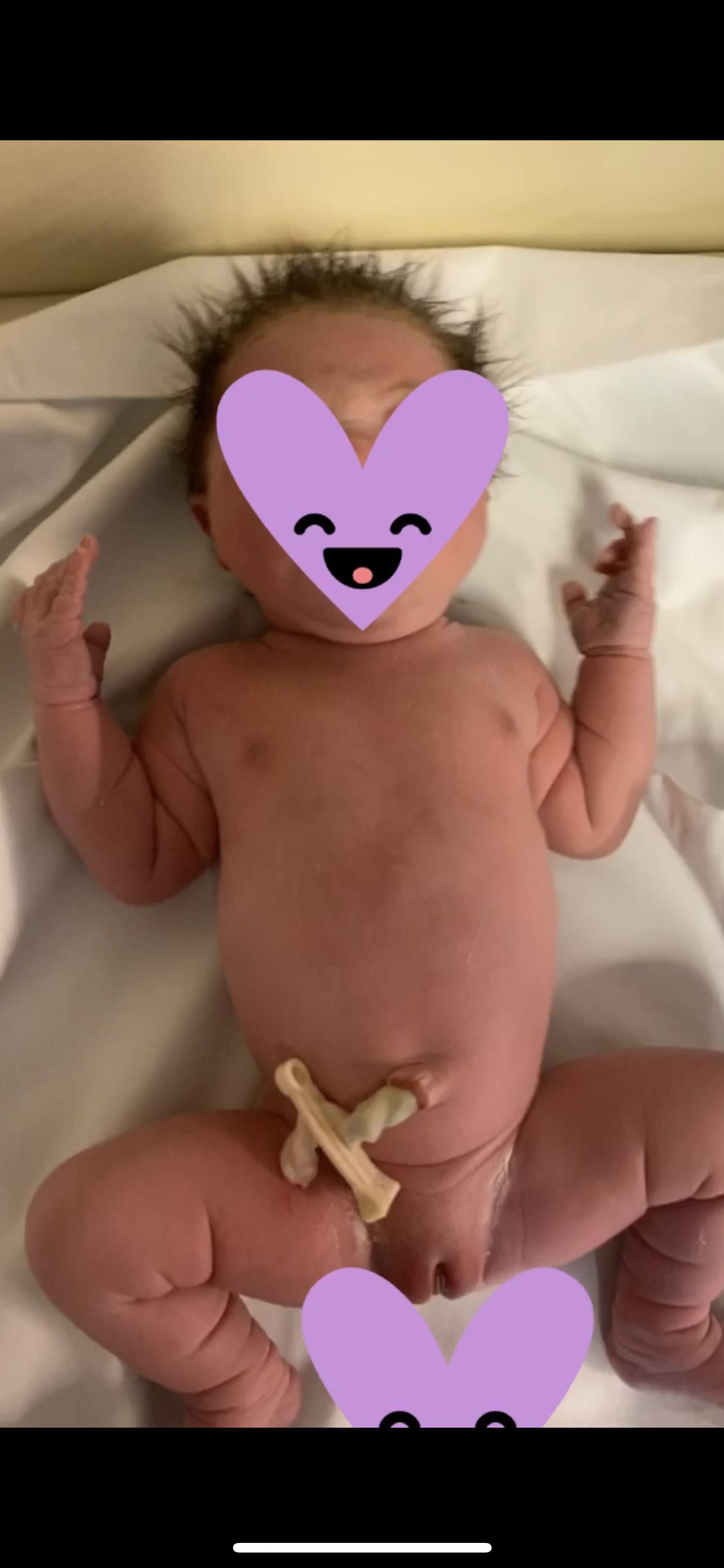 Filomenavalentina Cerreto-1