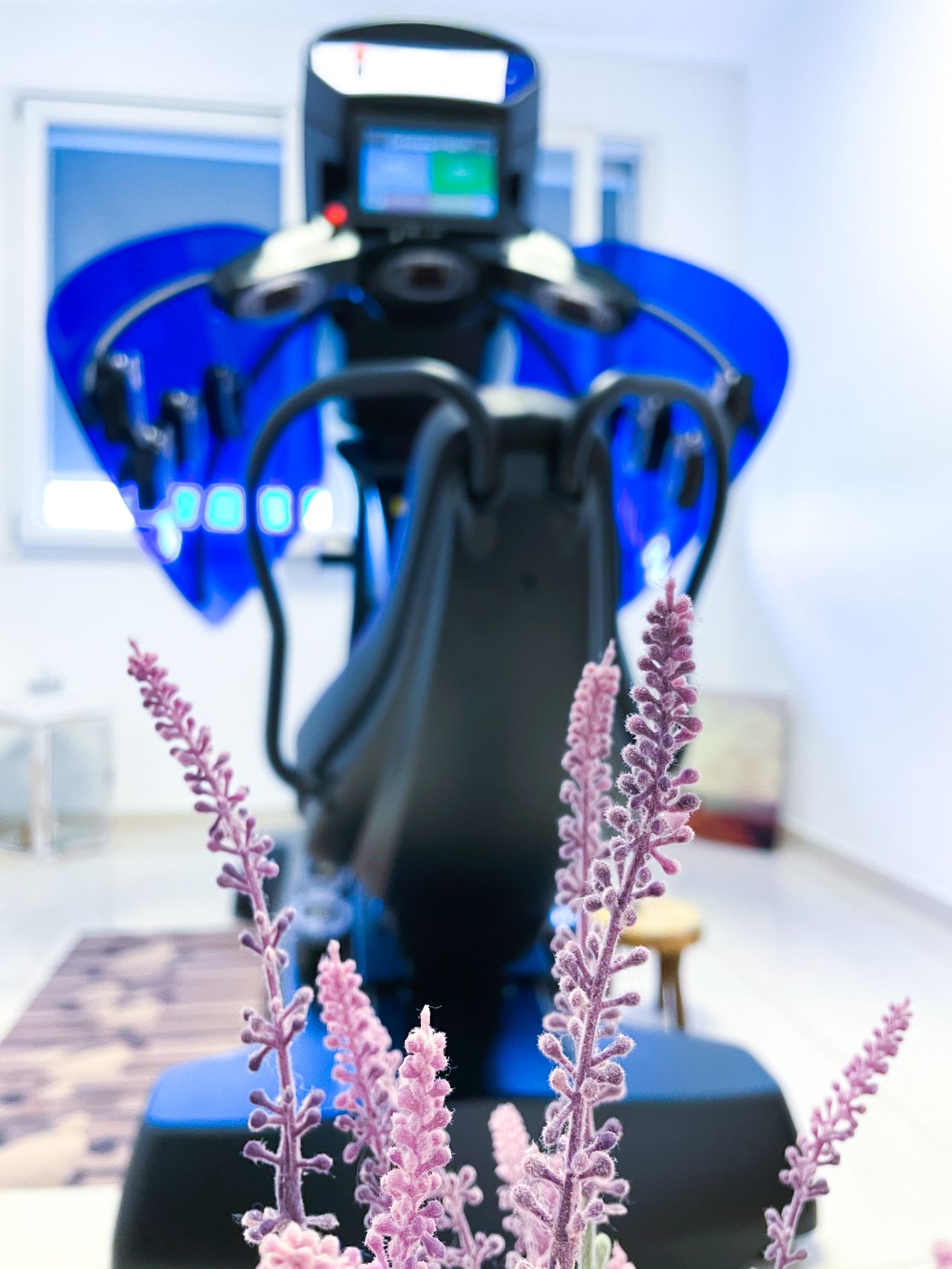 Simonetta Cosentino-8