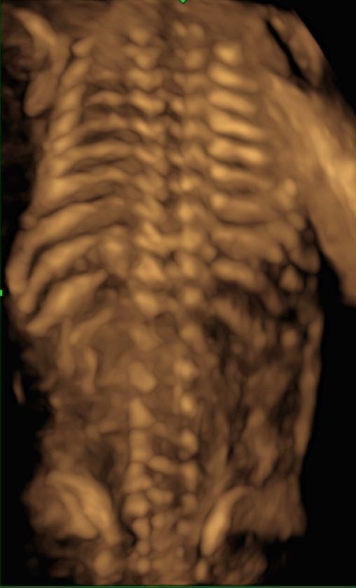 Karolina Panek - Laszczyńska-6