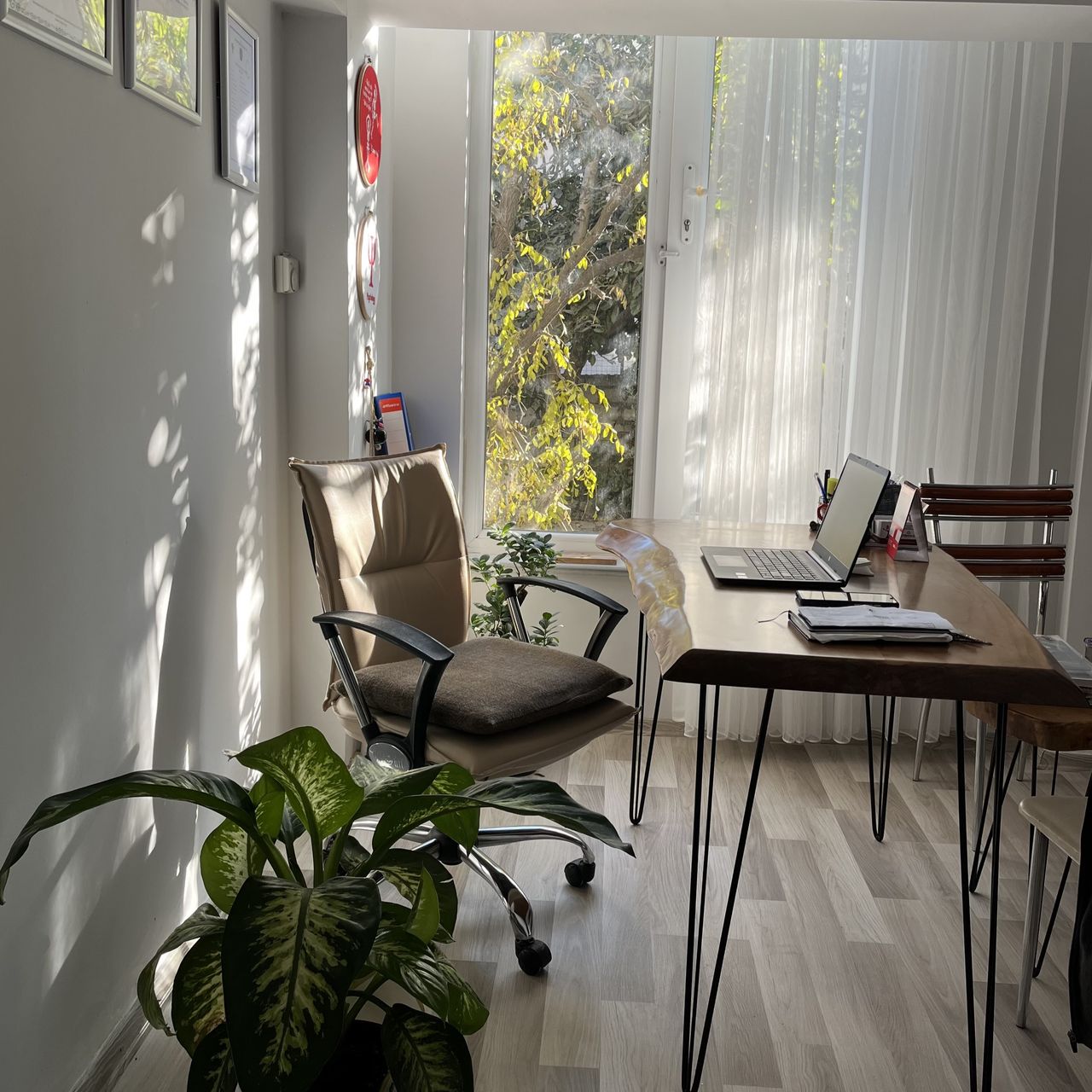 Rukiye Şevik Diallo-4