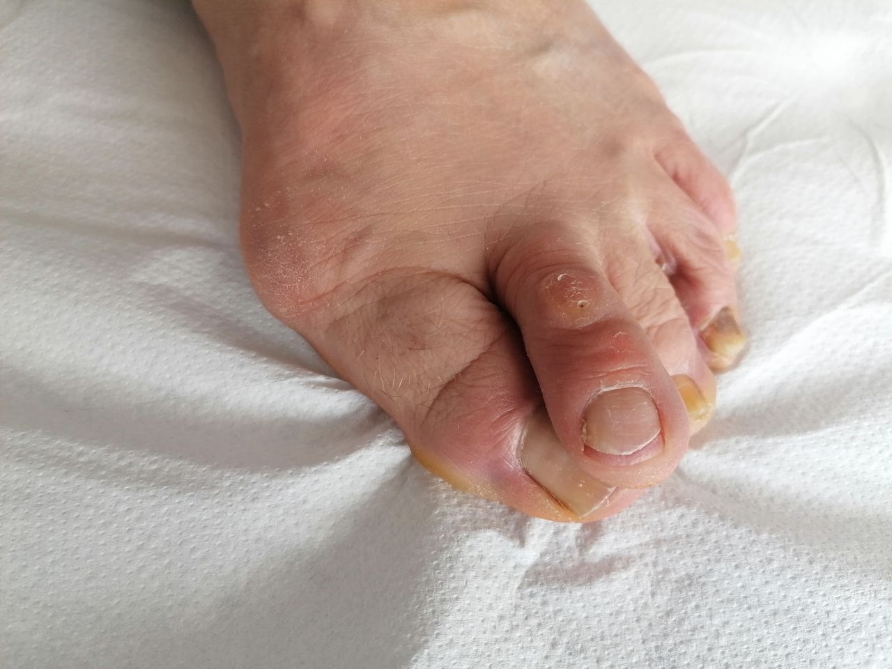 Kassandra Nicolosi-324