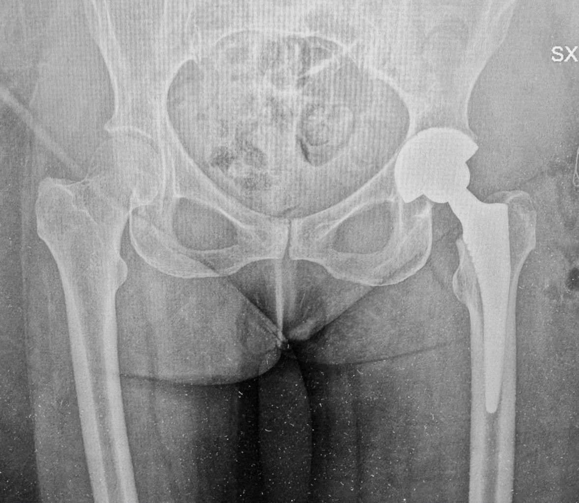 Daniele Passaretti-10