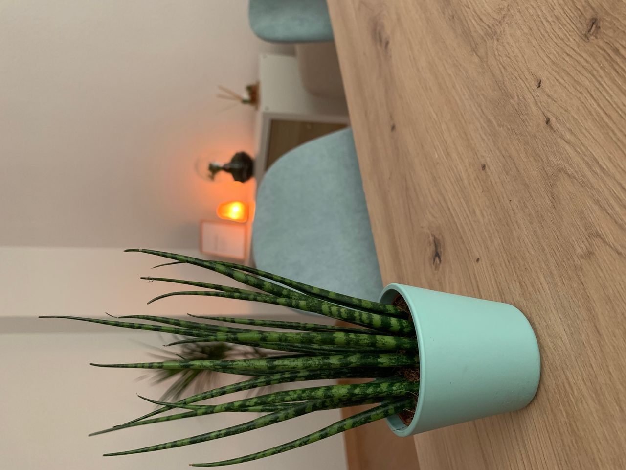 Eva Sánchez Torres-8