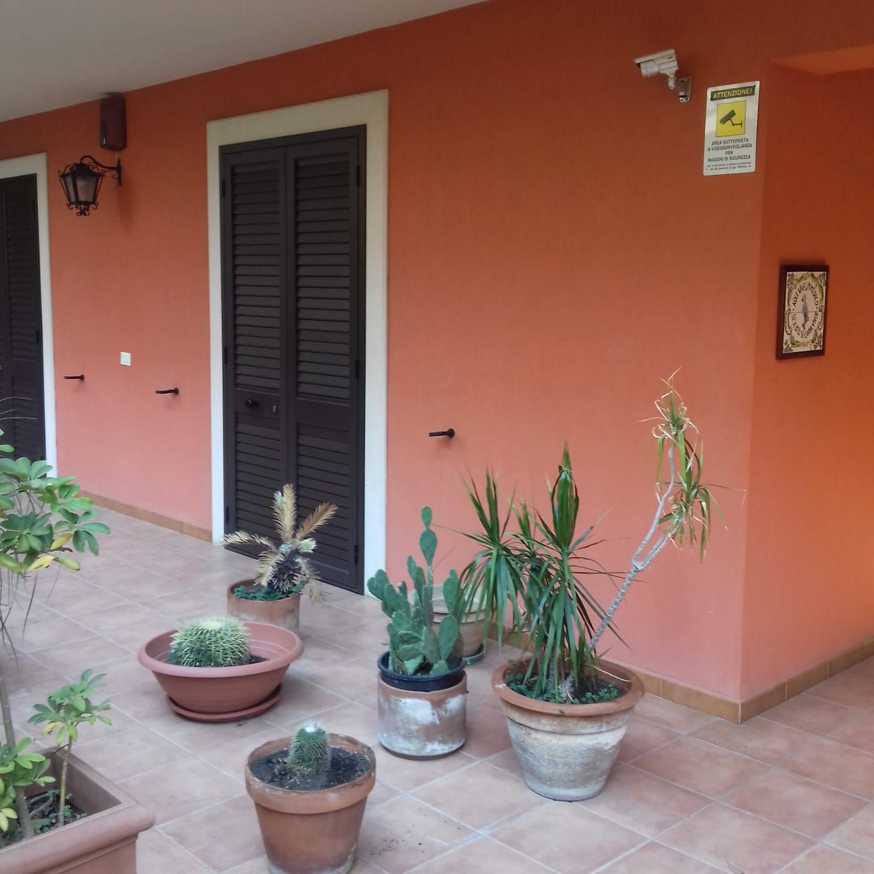 Simonetta Incardona-7