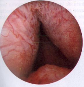 Francisco Gutiérrez Tejero-3