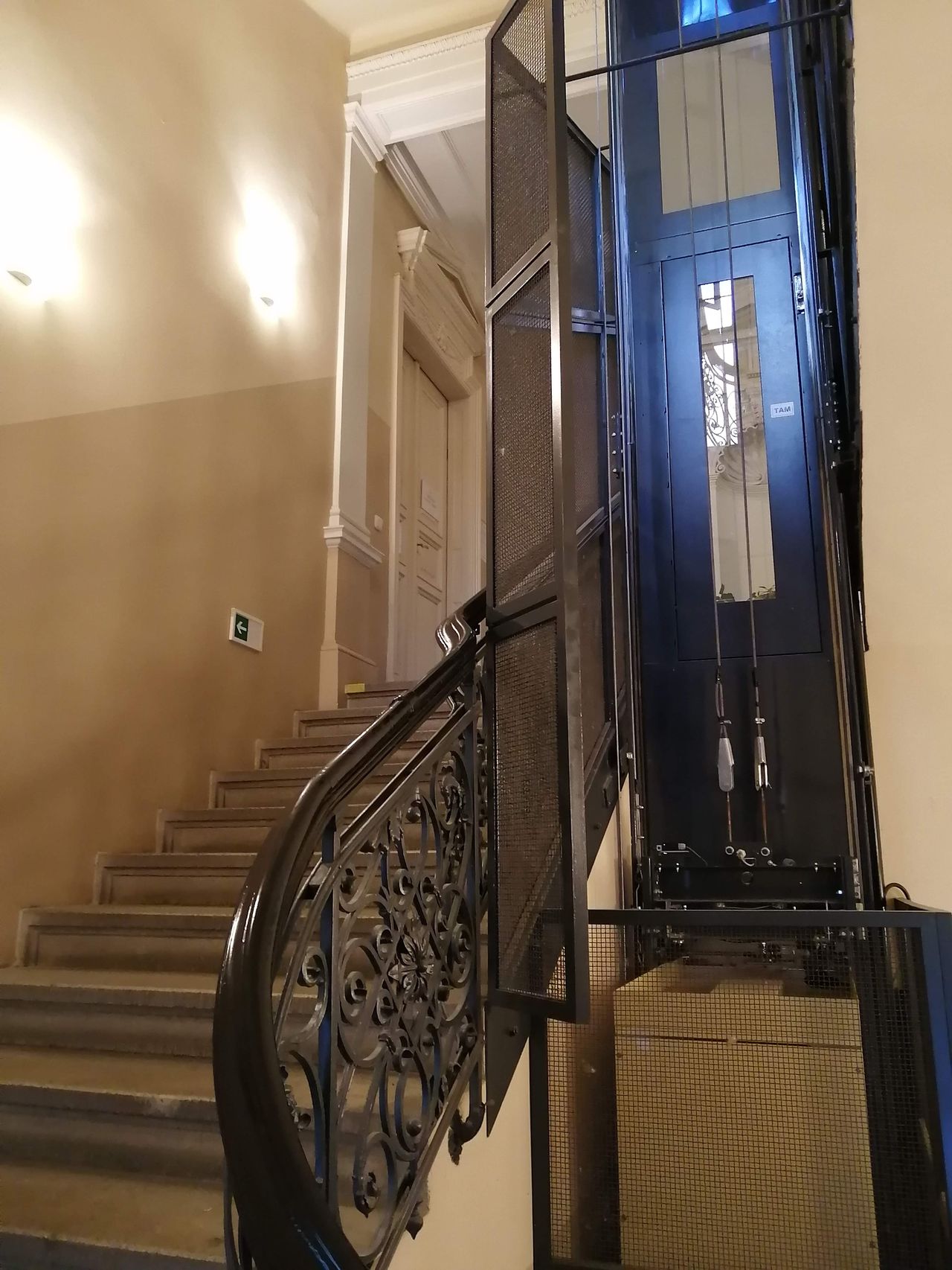 Elena Kondratyeva, Dis.-3