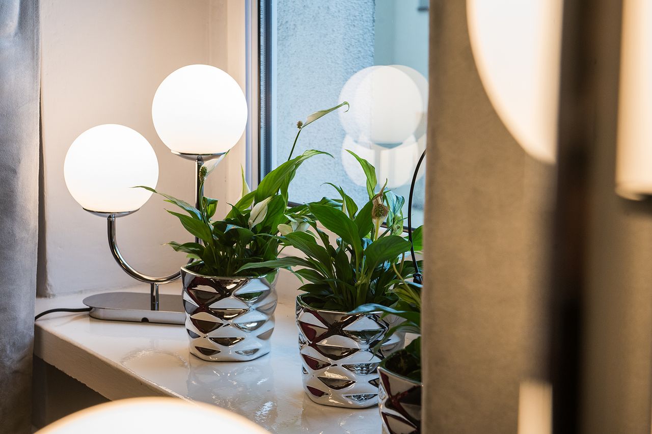 Irmina Kasperczyk-Hajdus-3