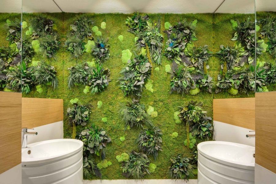 Maximilian Schreiner-12