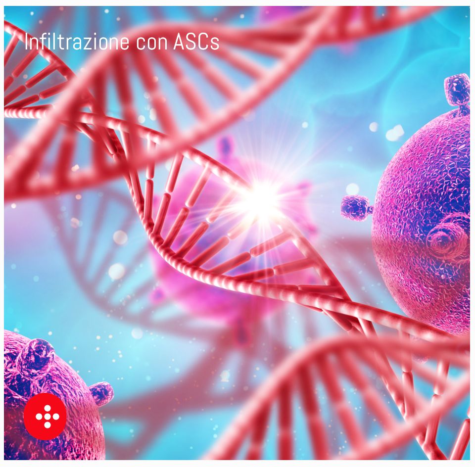 Stefano Santamaria-1