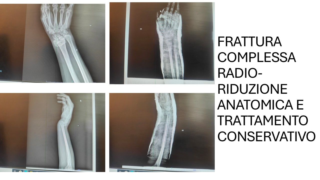 Bartolomeo D'amora-16