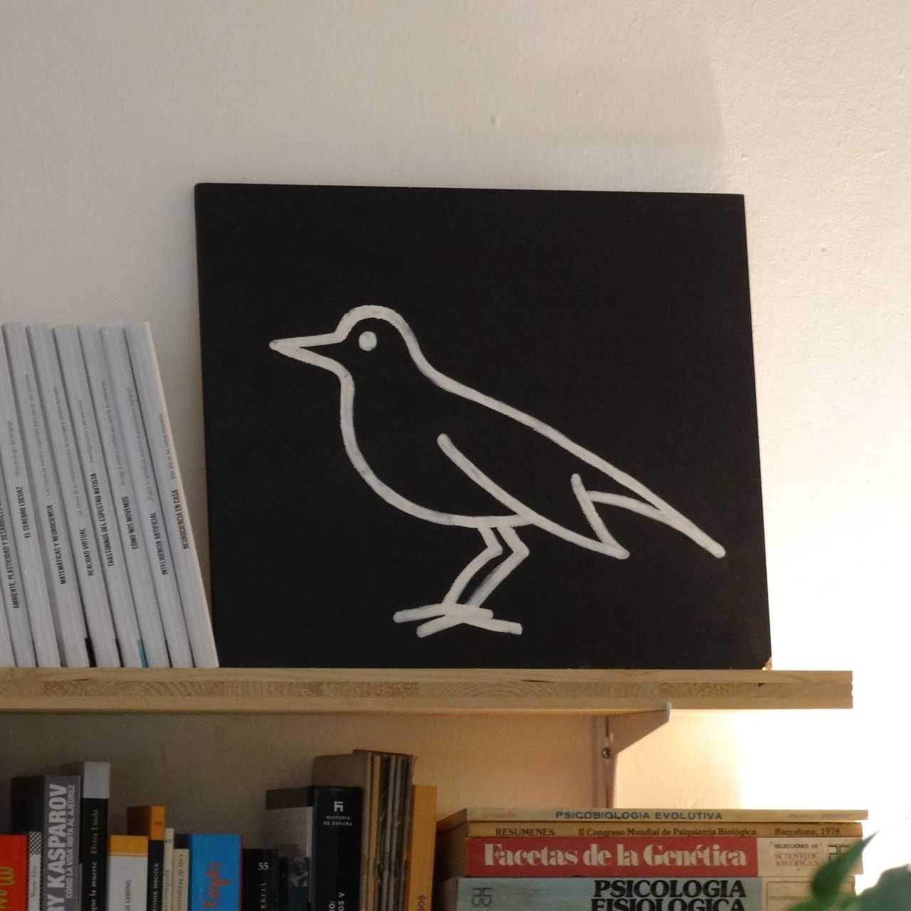 Carlos Farrés Snelders-7