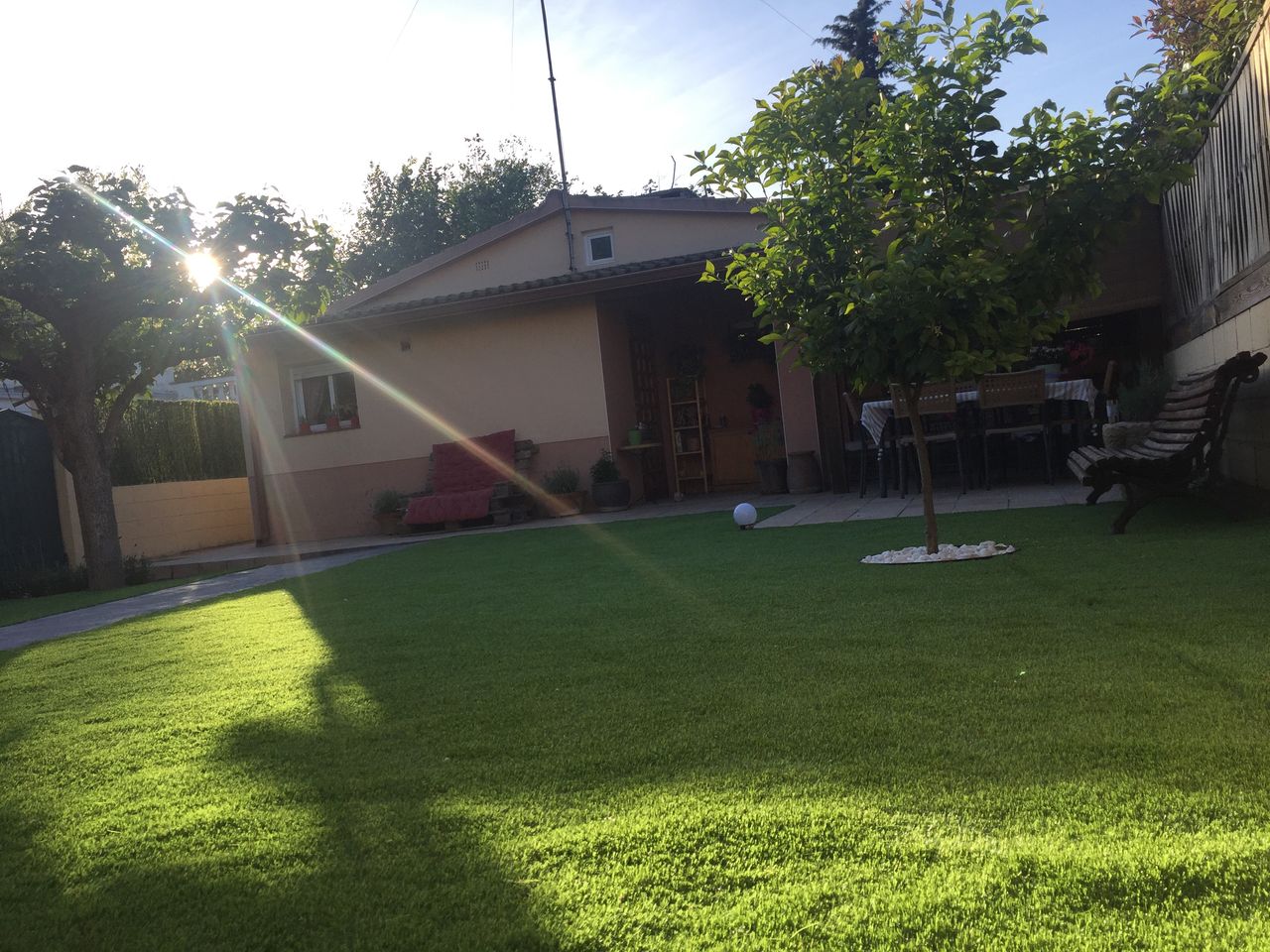 Elisabeth Martínez Calero-1