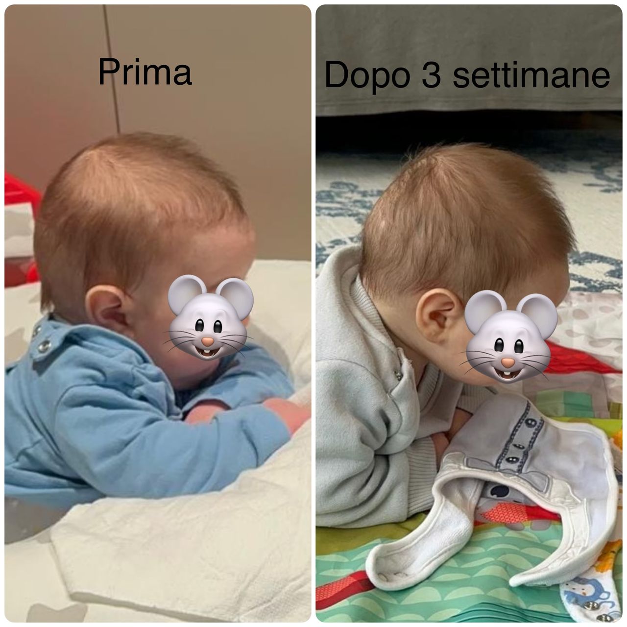 Francesco Policastro-4