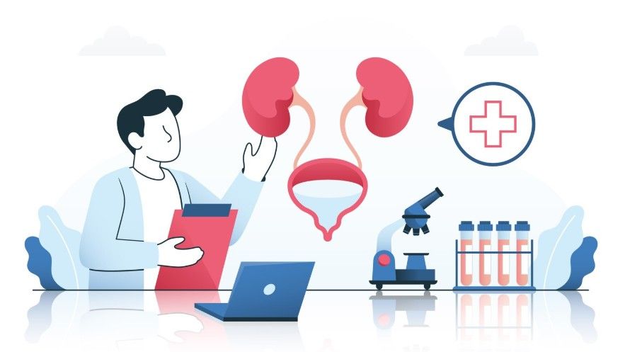 Famiano Meneschincheri-0