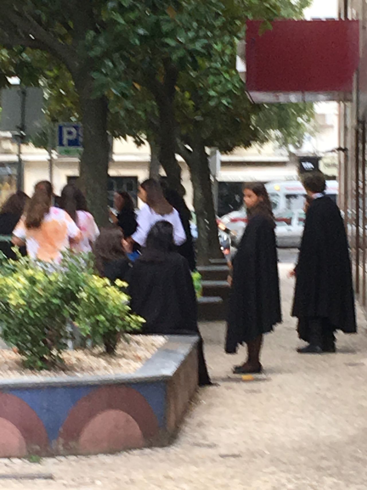 Ewa Alicja Ogłodek-9