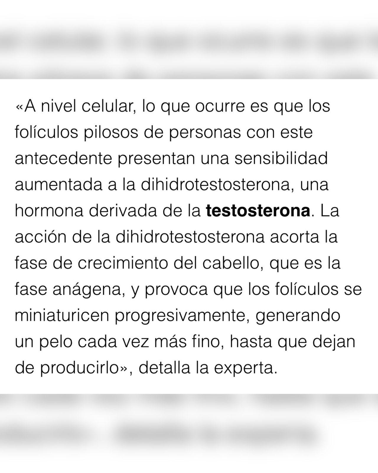 Silvia Berjón Argente-14