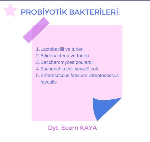 Ecem Kaya-24