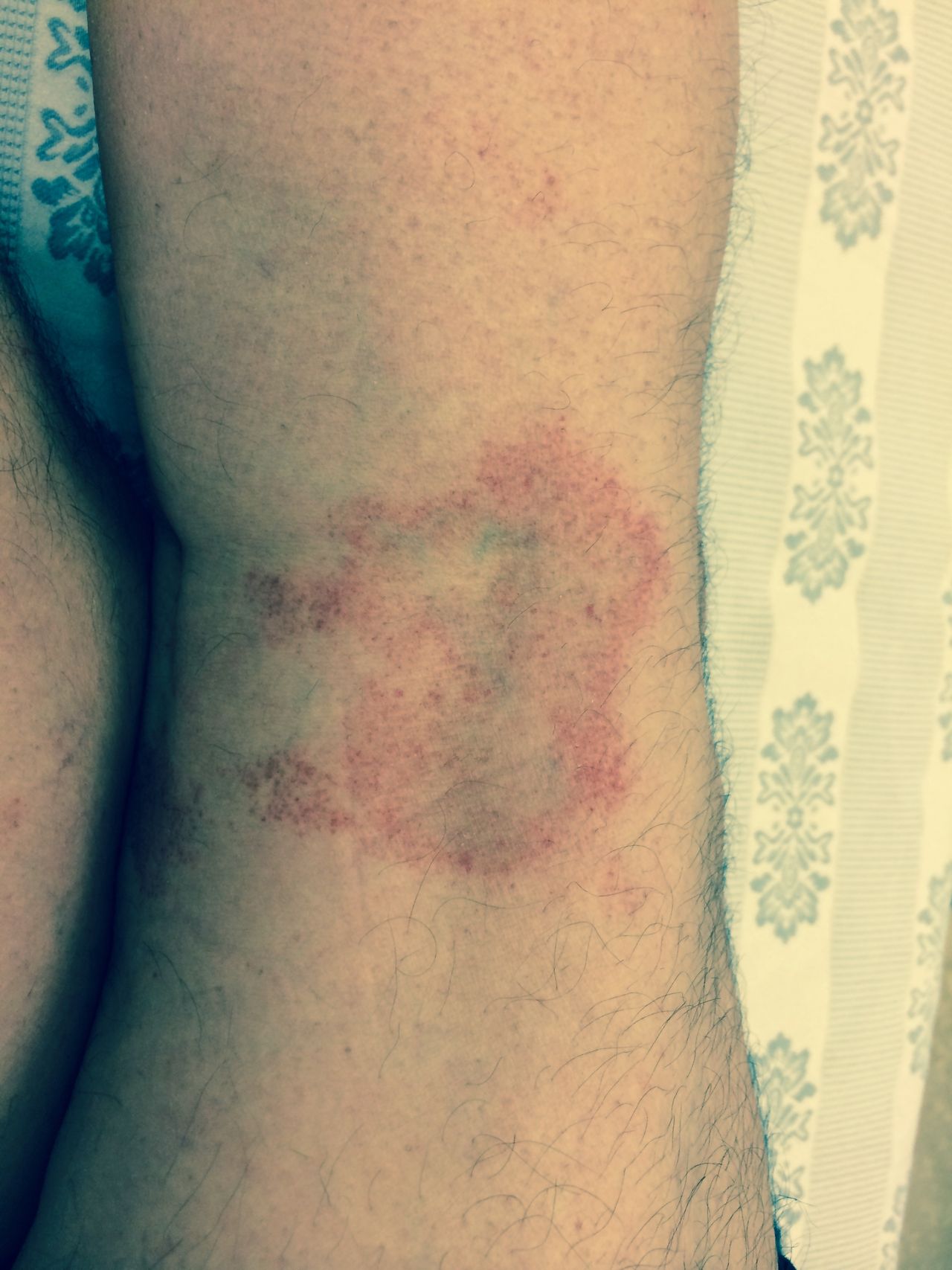 Maria Stefania Leto Barone-12