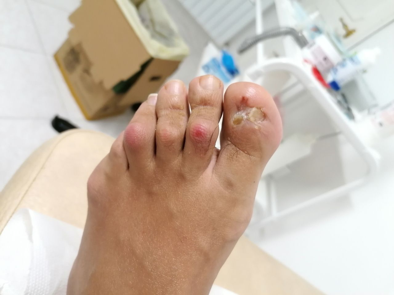 Kassandra Nicolosi-213