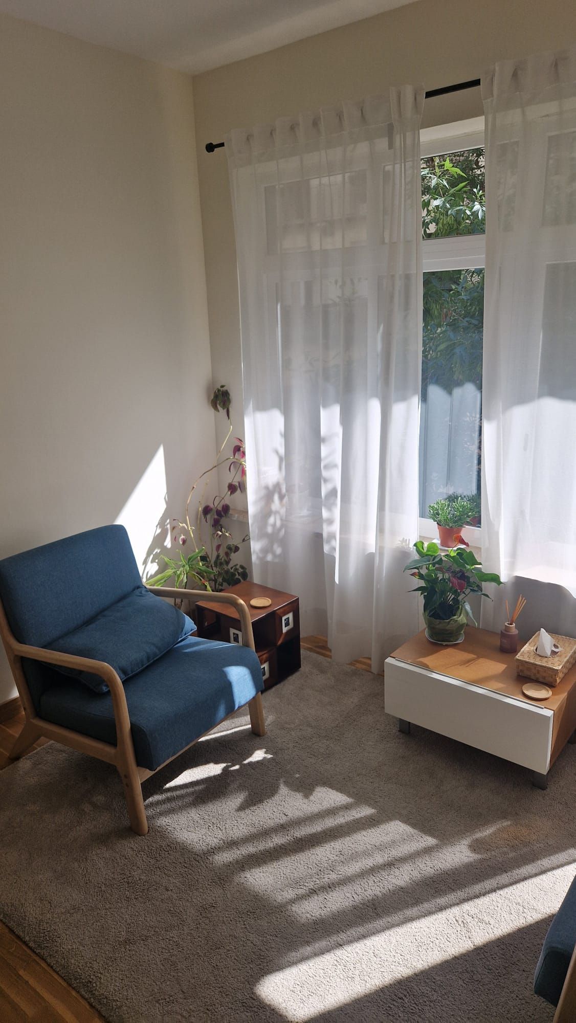 Alejandro Vitieles Doñate-2