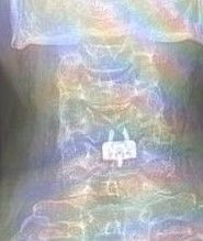 Alessandro Rapisarda-16