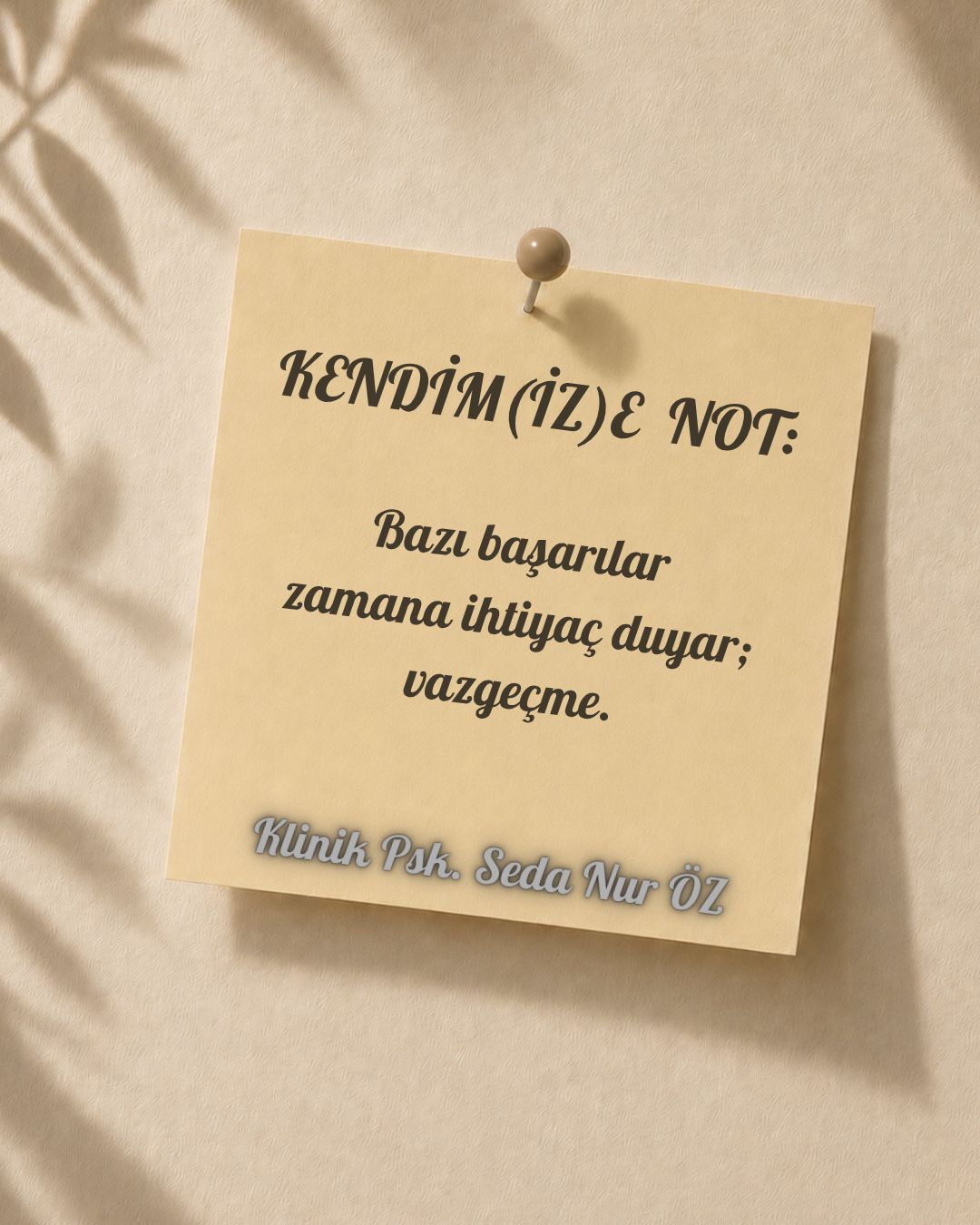 Seda Nur Öz-8