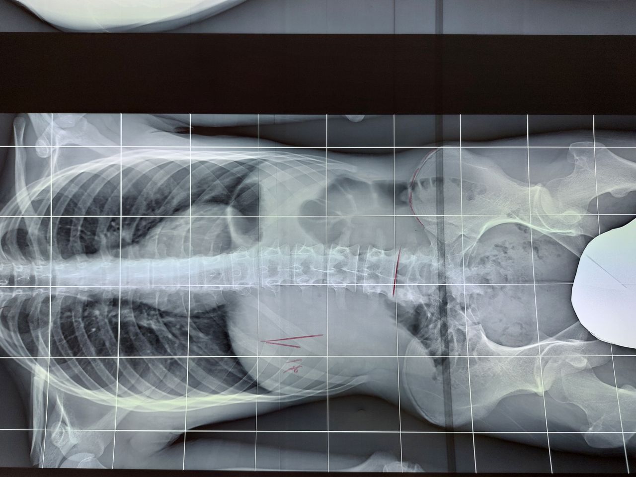 Giovanni Di Punzio-11