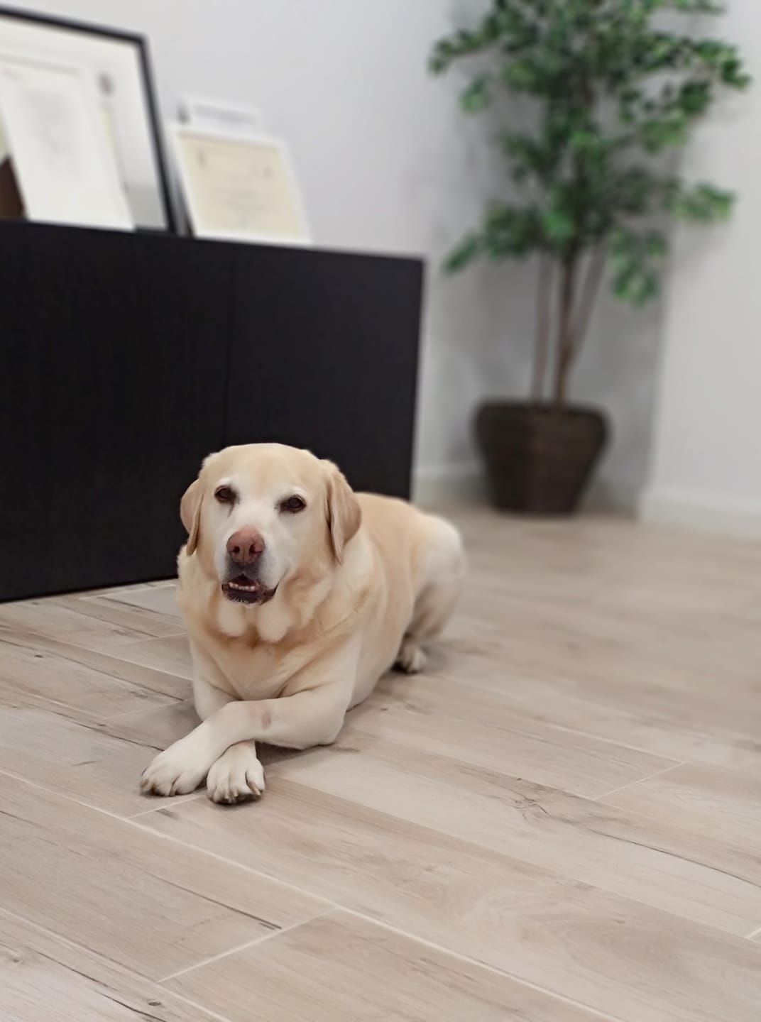 María Fernández Pérez-4