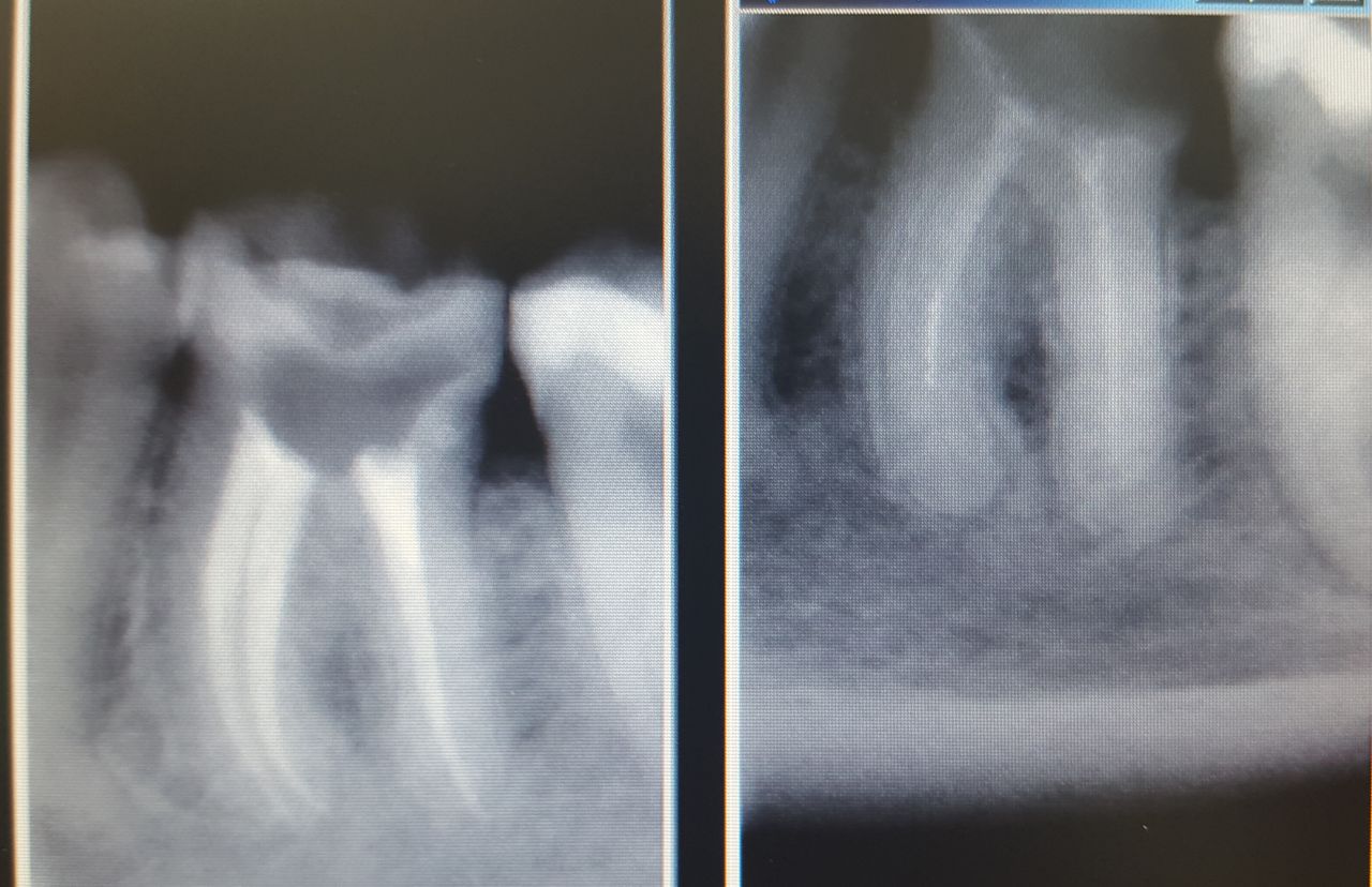 Katarzyna Załuska-3