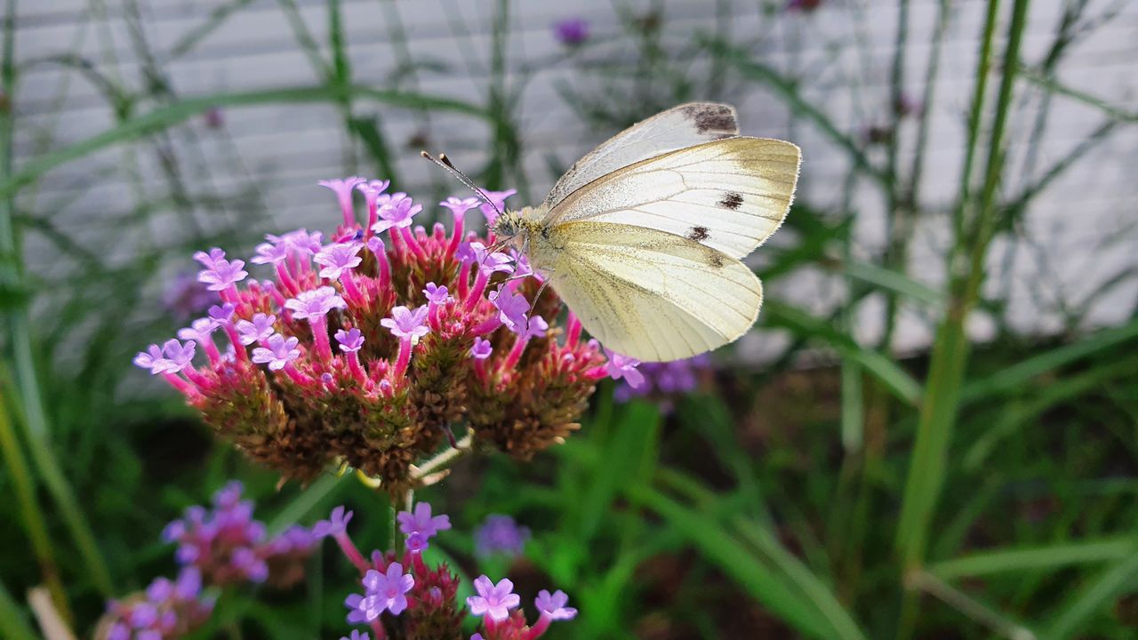 Monika Kołodziejczyk-3