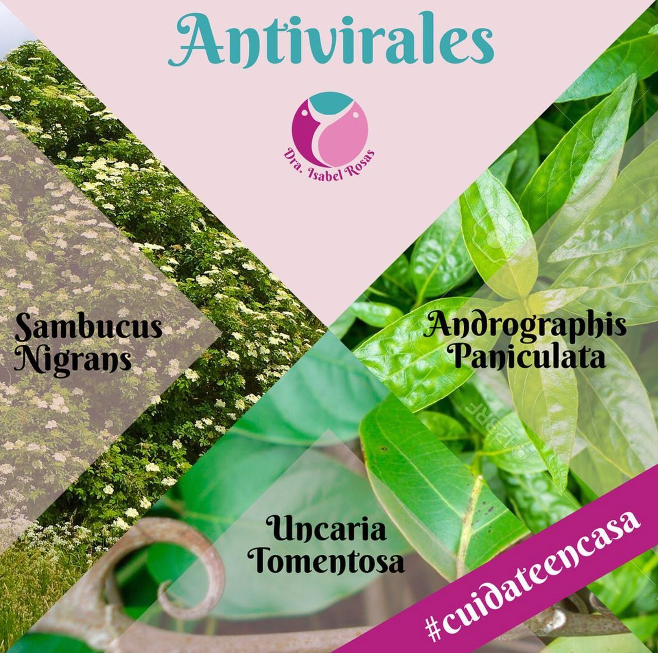 Isabel Rosas Alcantara-8