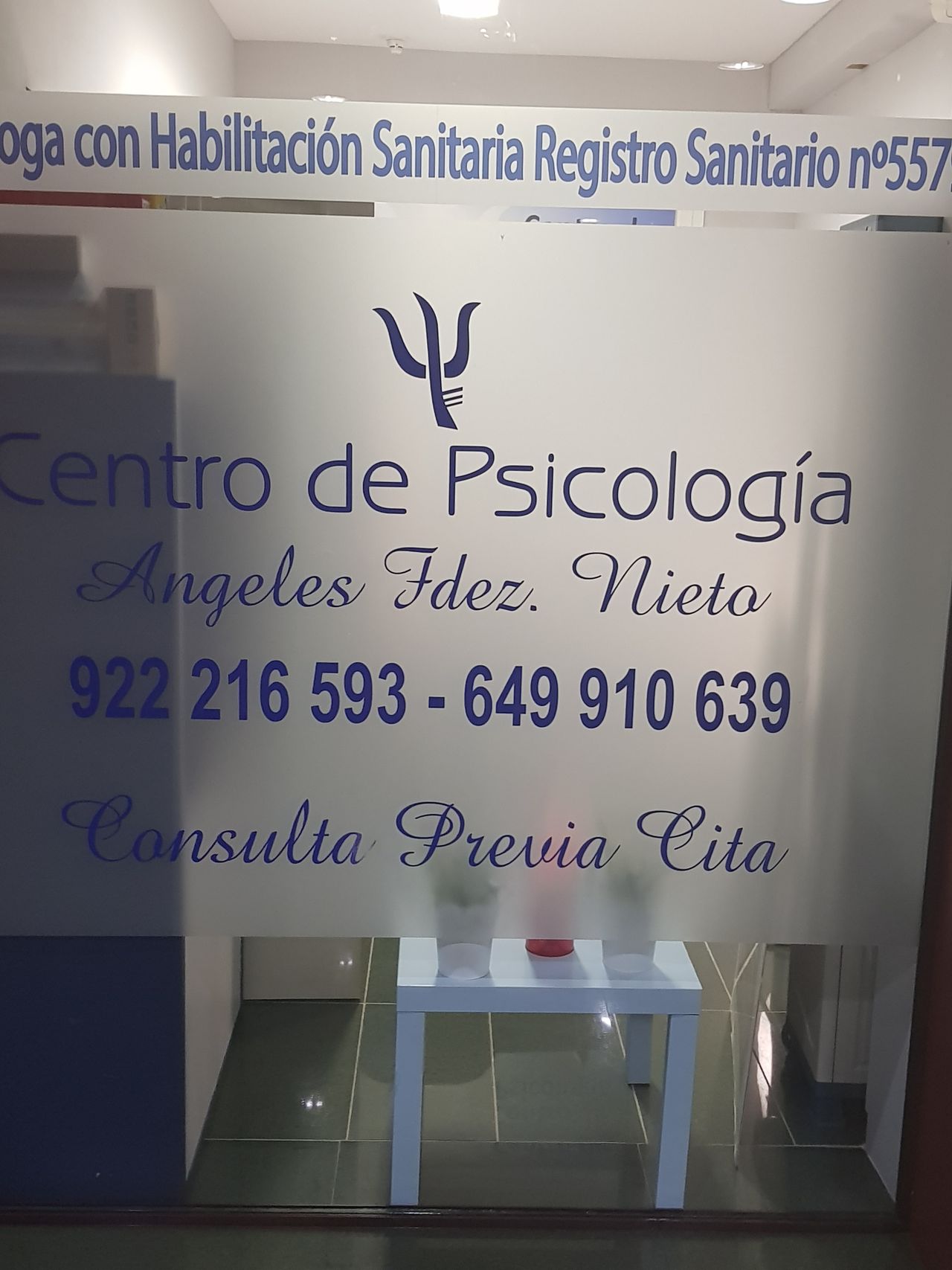 Ángeles Fernández Nieto-1