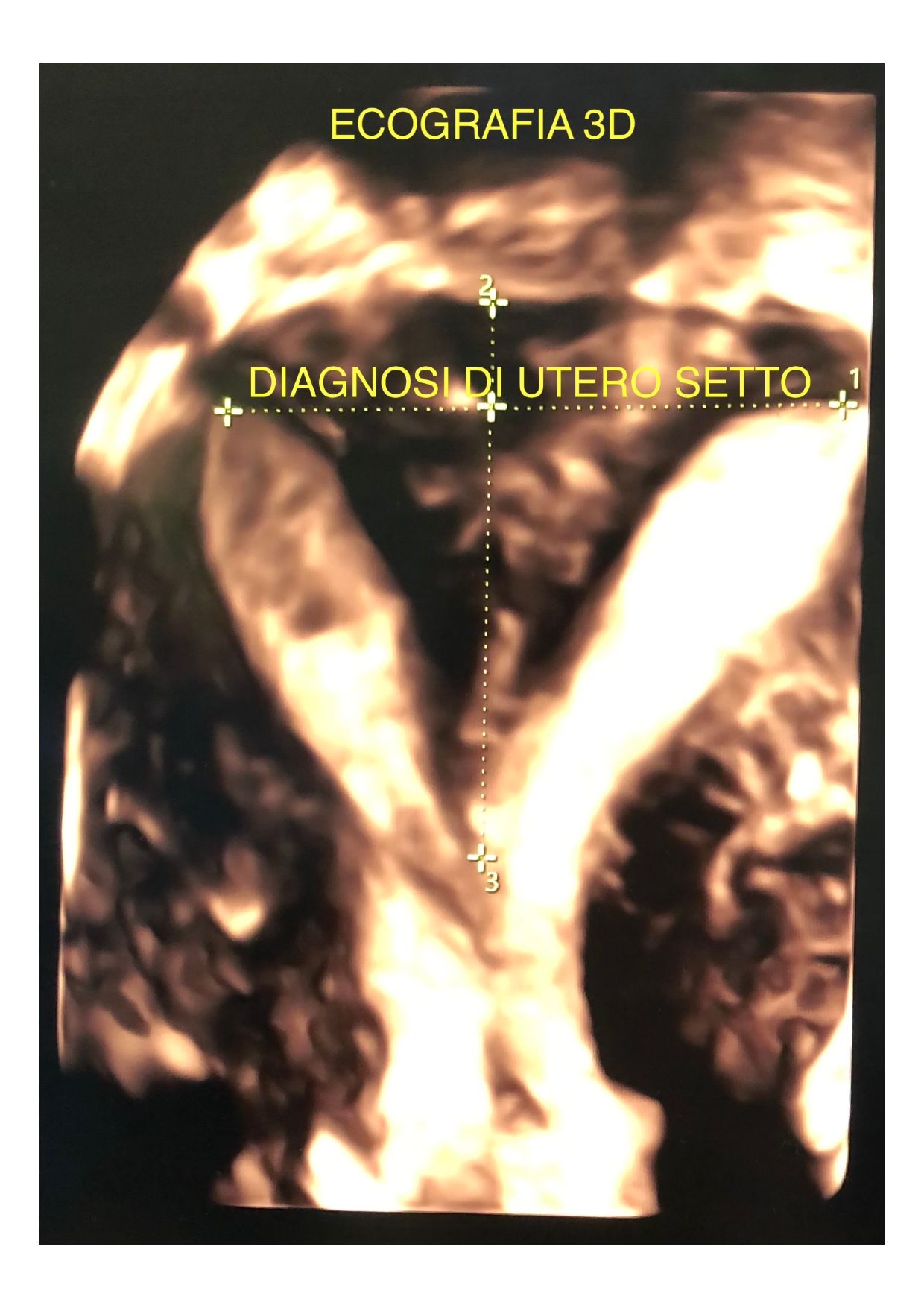 Viviana Lo Presti-14