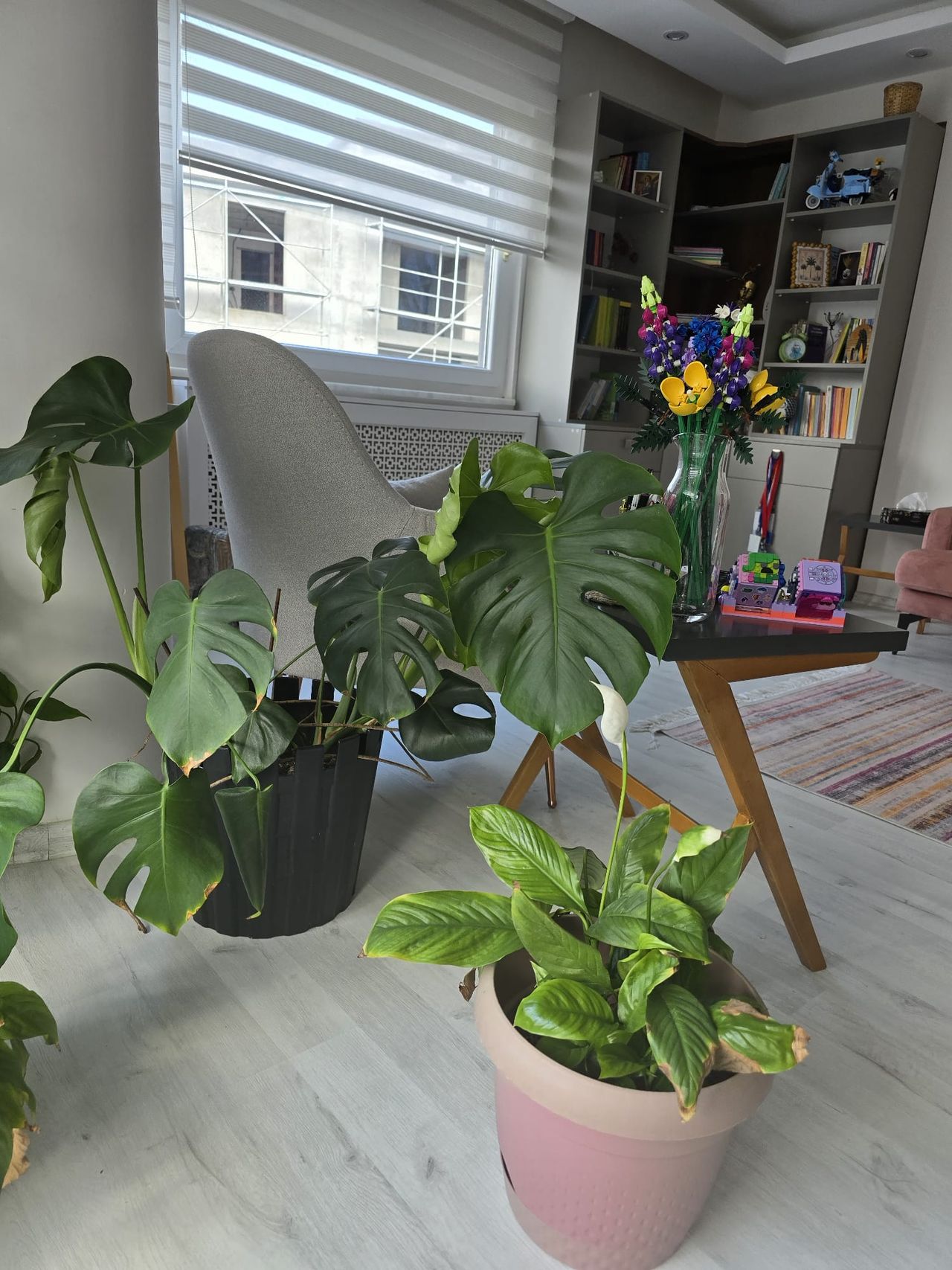 Bengisu Üzel Tanrıverdi-1