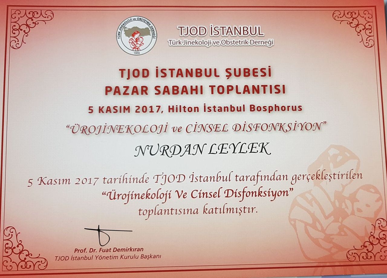 Nurdan Okuyucuoğlu Leylek-61