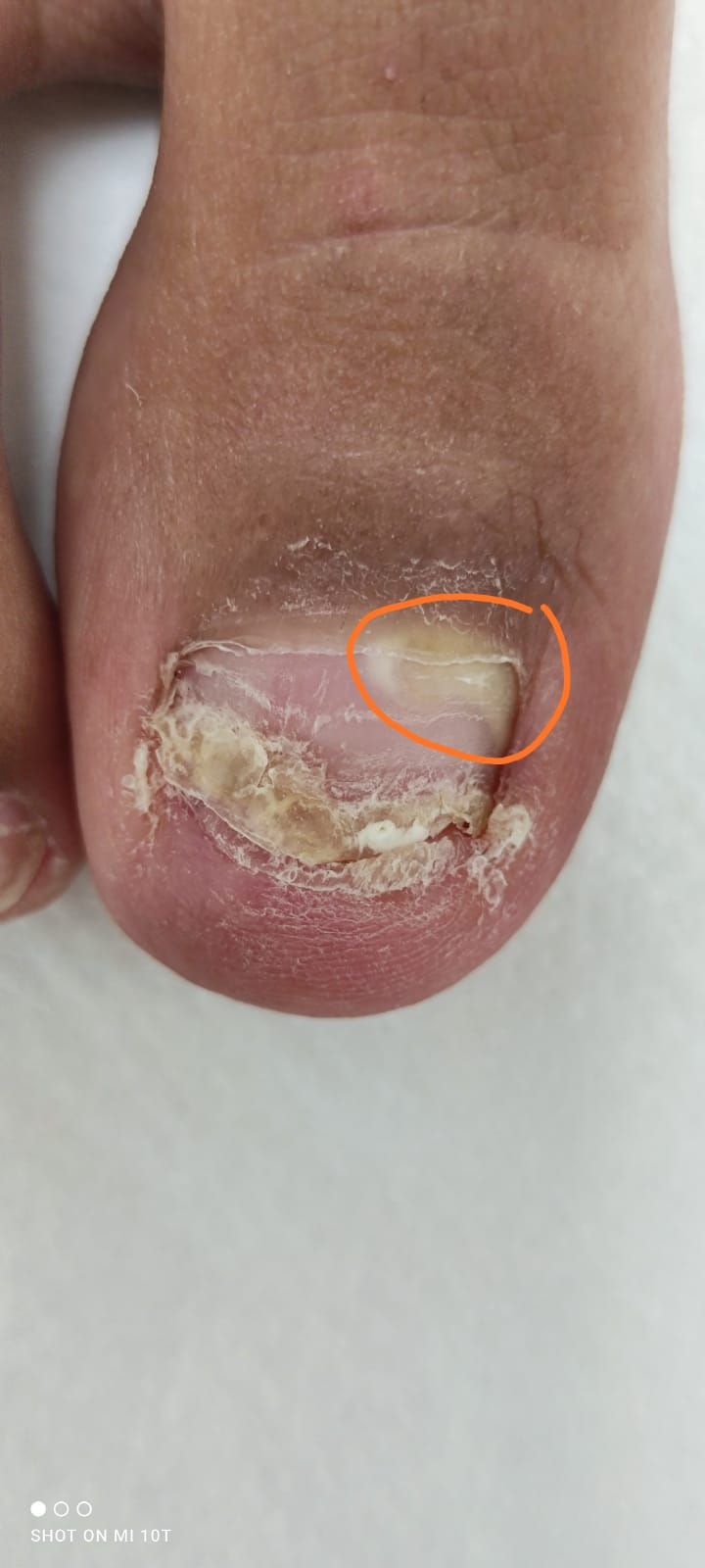 Kassandra Nicolosi-171