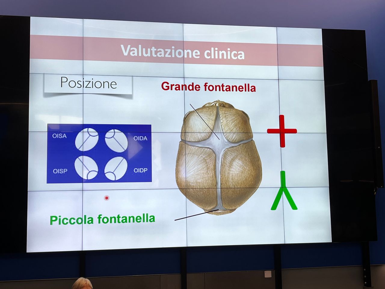 Cristian Macchione-24