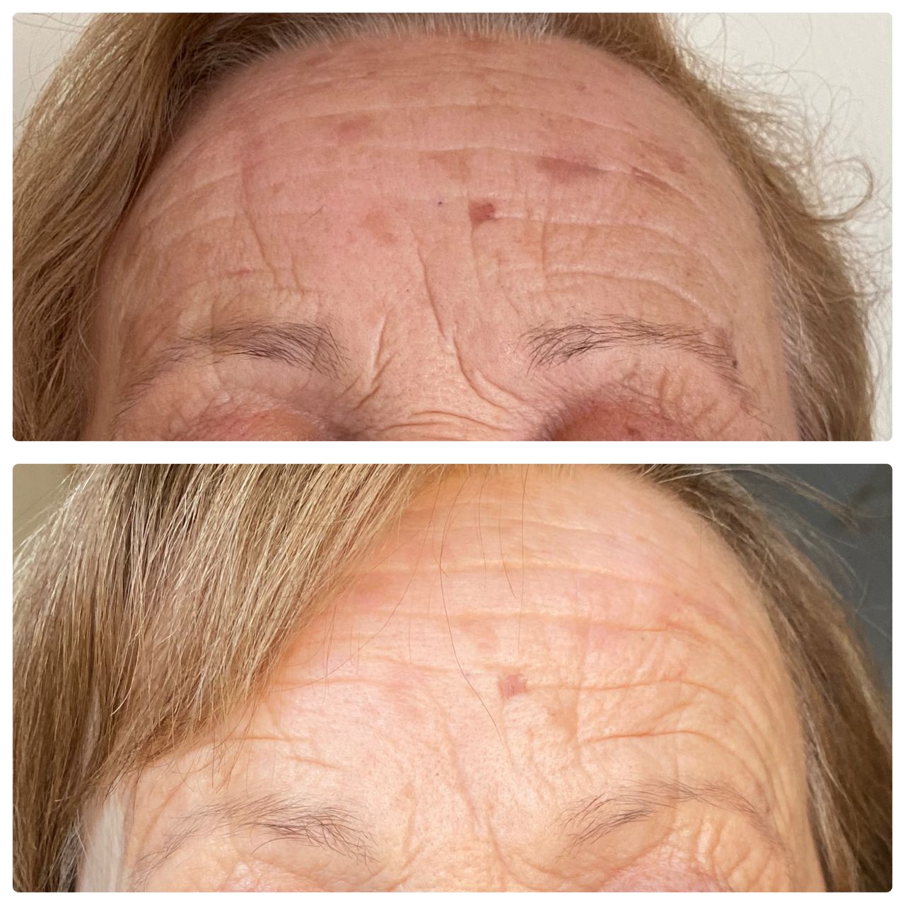 Elisabetta Fabiani-62