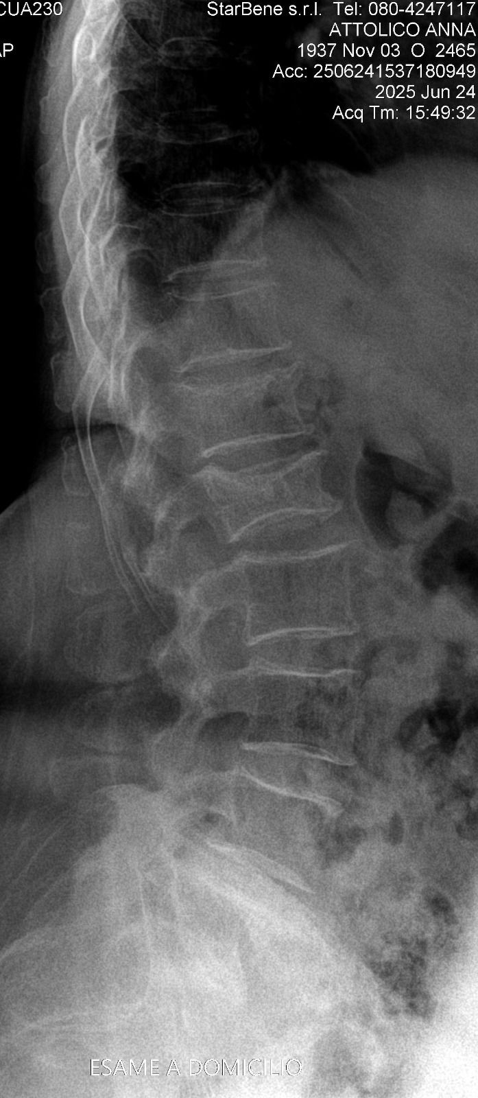 Stefania De Trane-20