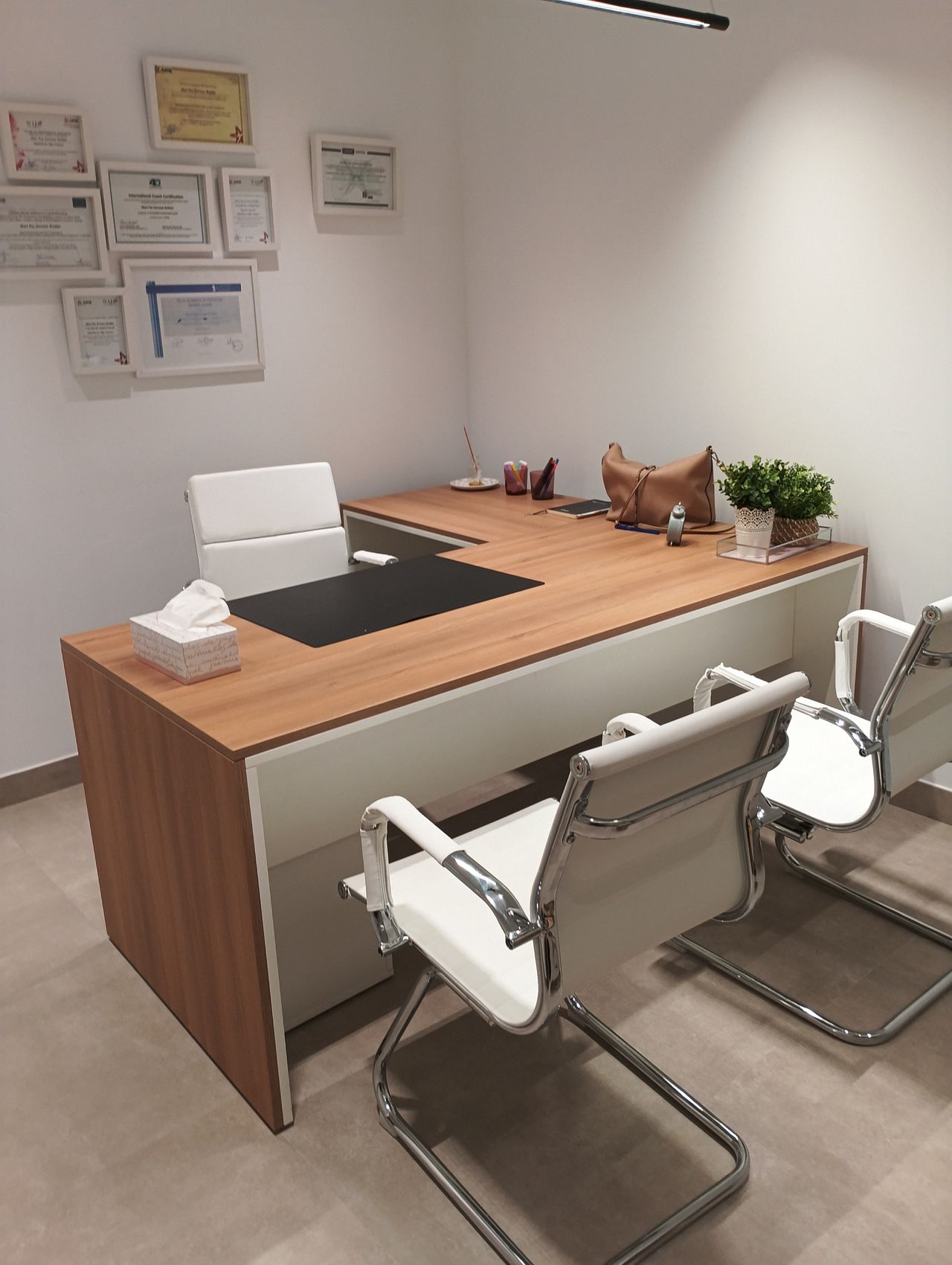 María Teresa Loizaga González-6