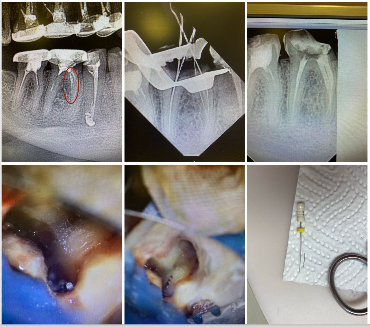 Yevheniia Volnianska-2