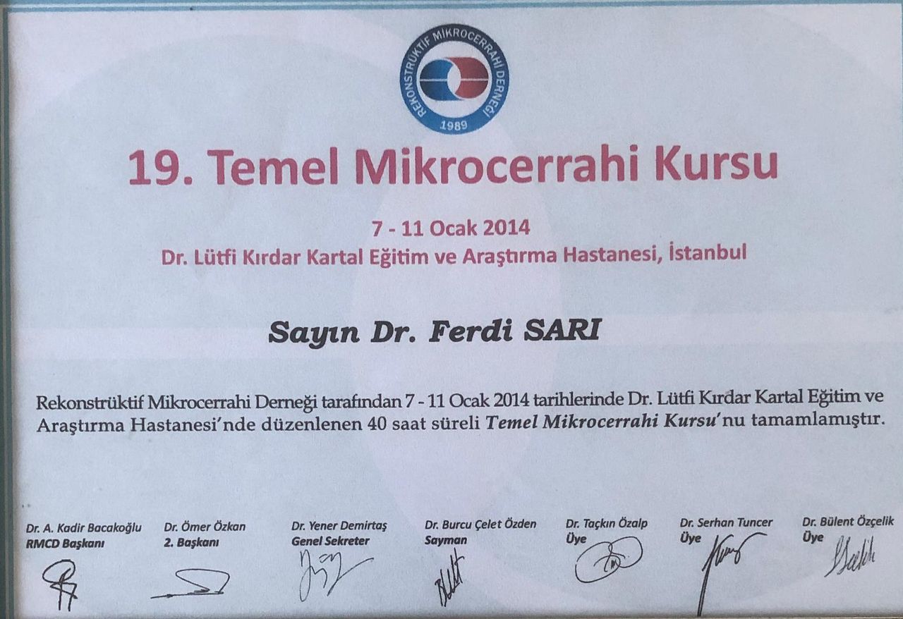 Ferdi Sarı-3