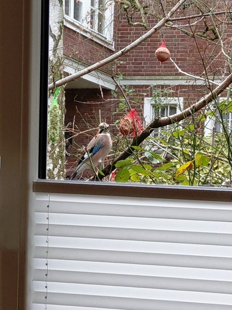 E. Libby Op Den Rhein-14