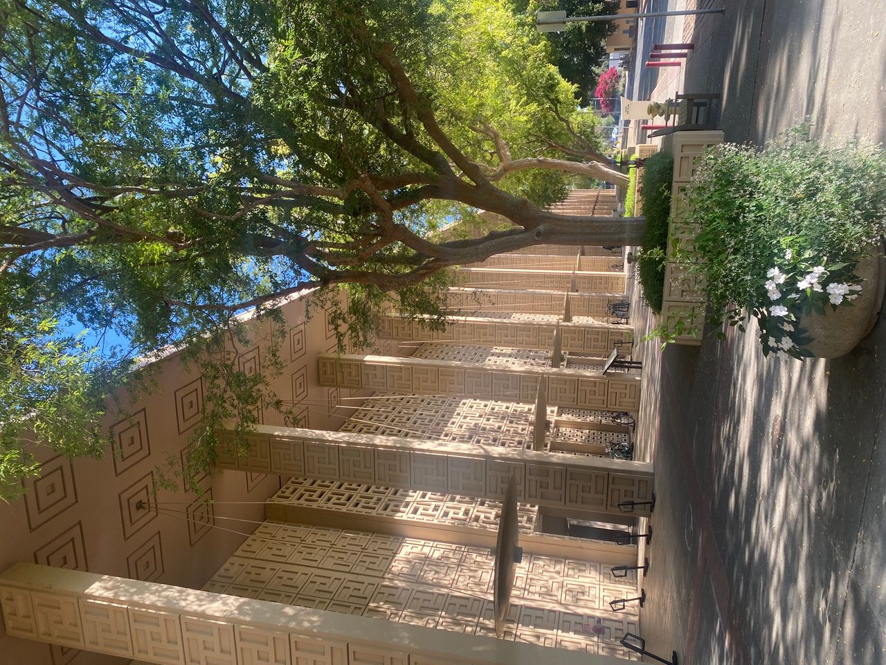 Mirosław Stempniewicz-6